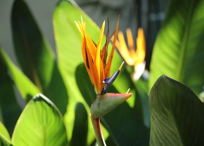 Gasthuis Pouso Dos Anjos